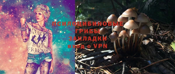 бошки Вязьма