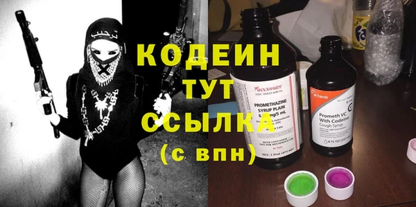 индика Горно-Алтайск