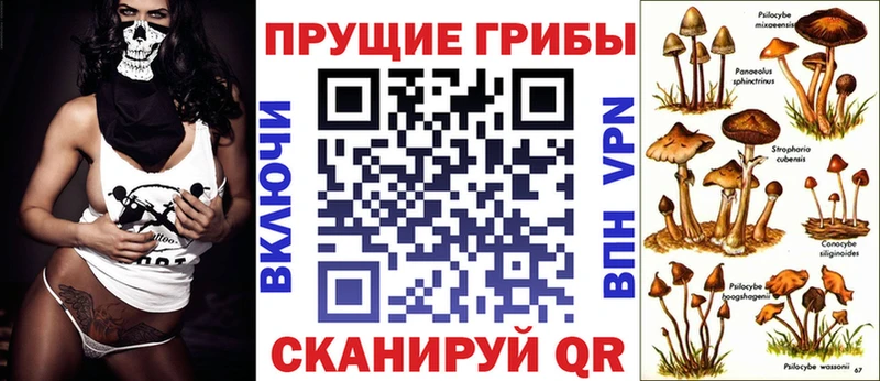 Галлюциногенные грибы MAGIC MUSHROOMS  гидра ссылки  Грязовец 