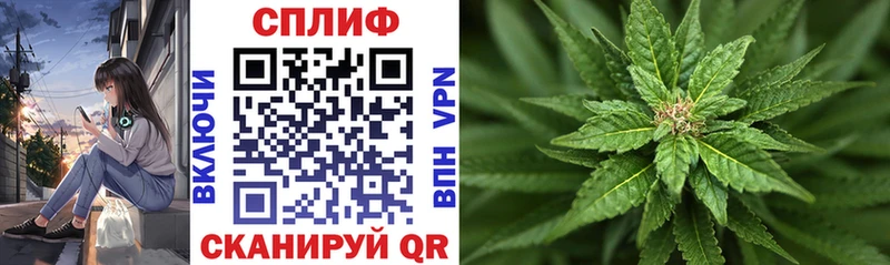 мега ТОР  как найти закладки  Грязовец  Марихуана тримм 